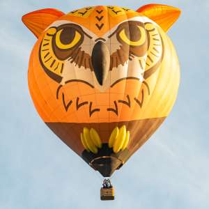Owl hot air balloon G-OWLL, an Ultramagic M-105 (animals)