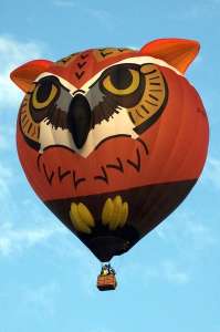 Owl hot air balloon G-OWLL, an Ultramagic M-105 (animals). Photograph by Keith Sowter