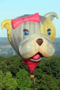 Dog hot air balloon G-OWOF, a Cameron Z-105 (animals), added to the archive 7 September 2026. Photograph by G Bann