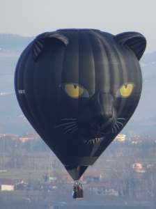 Animals hot air balloon G-PAWW, an Ultramagic M-90. Photograph by Trev Read