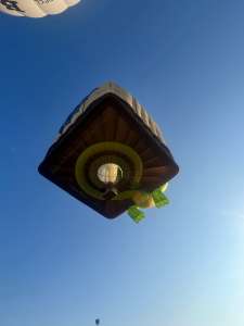 Playreview hot air balloon G-PNAD, a Lindstrand HOT AIR Balloons LBL BOX (dragon, animals)