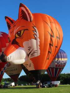 G-SLYY hot air balloon, an Ultramagic M-105. Photograph by G Bann