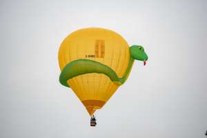 Snake hot air balloon G-SNKE, an Ultramagic M-90 (animals), seen at Arrow, Warwickshire, United Kingdom on 31 May 2025. Photograph by Dave