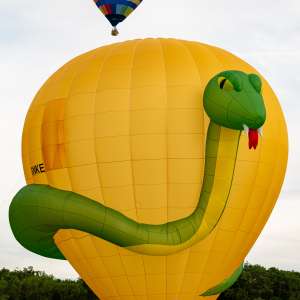 Snake hot air balloon G-SNKE, an Ultramagic M-90 (animals), seen at Arrow, Warwickshire, United Kingdom on 30 May 2026. Photograph by Dave