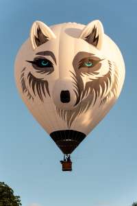 Snowy hot air balloon G-SNWY, a Diamond S-77 (animals). Photograph by Dave