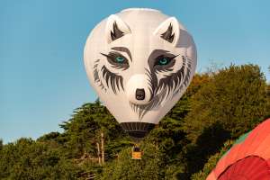 Snowy hot air balloon G-SNWY, a Diamond S-77 (animals), seen at Leigh Woods, North Somerset, United Kingdom on 7 August 2026. Photograph by Dave