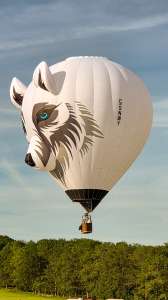 Snowy hot air balloon G-SNWY, a Diamond S-77 (animals), seen at Arrow, Warwickshire, United Kingdom on 30 May 2026. Photograph by Dave