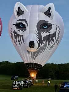 Snowy hot air balloon G-SNWY, a Diamond S-77 (animals), added to the archive 7 September 2026. Photograph by G Bann