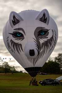 Snowy hot air balloon G-SNWY, a Diamond S-77 (animals), seen at Horningsham, Wiltshire, United Kingdom on 11 September 2026. Photograph by Dave