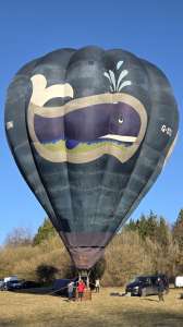 Whale hot air balloon G-STAV, a Cameron O-84