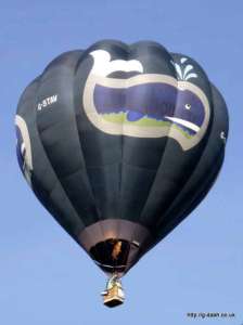 Whale hot air balloon G-STAV, a Cameron O-84, added to the archive 7 September 2026. Photograph by Balloon Spotters Archive
