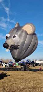 G-TEEF hot air balloon, a Diamond P-90. Photograph by Ian Grove