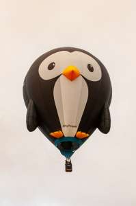 Penguin hot air balloon G-UINS, an Ultramagic B-70 (animals)