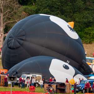 Penguin hot air balloon G-UINZ, an Ultramagic B-70 (animals), seen at Leigh Woods, North Somerset, United Kingdom on 9 August 2015. Photograph by Dave