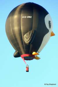Penguin hot air balloon G-UINZ, an Ultramagic B-70 (animals), added to the archive 7 September 2026. Photograph by Fay Shepherd