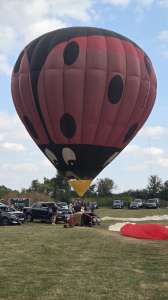 Ladybird hot air balloon G-VALZ, a Cameron N-120 (animals). Photograph by Dave