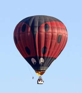 Ladybird hot air balloon G-VALZ, a Cameron N-120 (animals), added to the archive 7 September 2026. Photograph by Wayne Trigg
