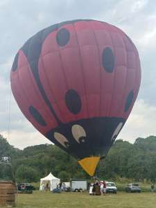 Ladybird hot air balloon G-VALZ, a Cameron N-120 (animals), seen at Corston, Bath and North East Somerset, United Kingdom on 18 July 2026. Photograph by R0nN1e