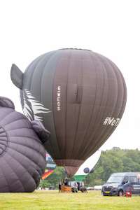 Wolf hot air balloon G-WESS, a Lindstrand Technologies LTL Series 1-90 (animals), seen at Arrow, Warwickshire, United Kingdom on 31 May 2025. Photograph by Dave