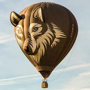 Wolf hot air balloon G-WESS, a Lindstrand Technologies LTL Series 1-90 (animals), seen at Arrow, Warwickshire, United Kingdom on 30 May 2026. Photograph by Dave