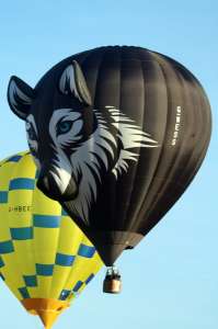 Wolf hot air balloon G-WESS, a Lindstrand Technologies LTL Series 1-90 (animals), added to the archive 7 September 2026. Photograph by G Bann