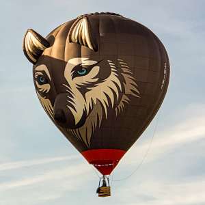 Animals hot air balloon G-WINY, a Diamond S-77. Photograph by Dave
