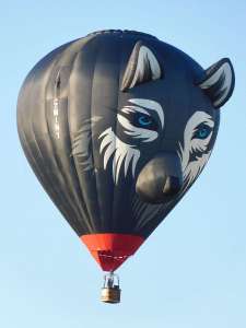 G-WINY hot air balloon, added to the archive 27 August 2026. Photograph by Kevin Boon