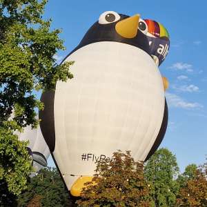 G-WINZ hot air balloon, a Lindstrand Technologies LTL Series Special - Penguin