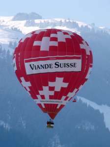HB-QMS hot air balloon. Photograph by G Bann