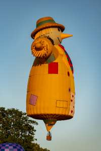 Smiley The Scarecrow hot air balloon N315LL