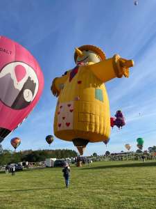 N315LL hot air balloon, added to the archive 13 September 2026. Photograph by Cera168_