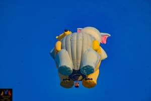 N346LJ hot air balloon, added to the archive 28 September 2026. Photograph by joeri