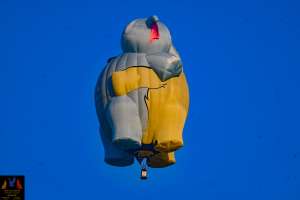N346LJ hot air balloon, added to the archive 28 September 2026. Photograph by joeri
