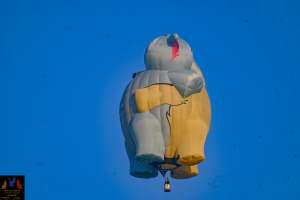 N346LJ hot air balloon, added to the archive 28 September 2026. Photograph by joeri