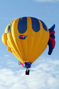 N461SH hot air balloon, added to the archive 7 September 2026. Photograph by G Bann