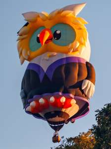 Owl hot air balloon N470WL (animals). Photograph by Dave