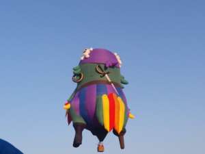 N805PP hot air balloon, added to the archive 28 September 2026. Photograph by joeri