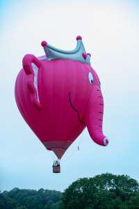 Elephant hot air balloon N917PN (animals). Photograph by Dave