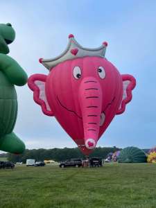 N917PN hot air balloon, added to the archive 15 September 2026. Photograph by Cera168_
