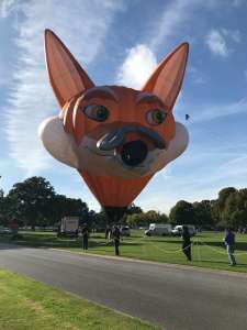 OE-ZOX hot air balloon. Photograph by Cera168_