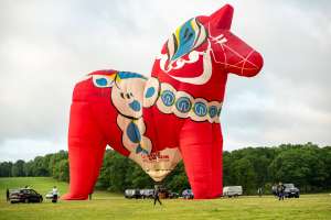 Horse hot air balloon OO-BQH (animals). Photograph by Dave