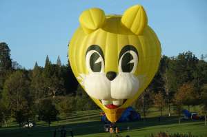 OO-BXV hot air balloon, added to the archive 14 September 2026. Photograph by Hayz1984