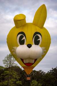 Funny Bunny hot air balloon OO-BXV (animals), seen at Horningsham, Wiltshire, United Kingdom on 11 September 2026. Photograph by Dave