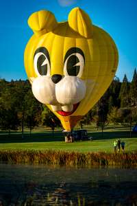 Funny Bunny hot air balloon OO-BXV (animals), seen at Horningsham, Wiltshire, United Kingdom on 12 September 2026. Photograph by Dave