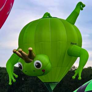 Prince hot air balloon PH-GDG (frog, animals). Photograph by Dave
