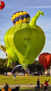 Prince hot air balloon PH-GDG (frog, animals)