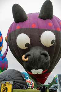Donkey hot air balloon PH-TSS (animals). Photograph by Dave